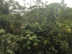 St. Martin Residence (D10), Condominium #73410162